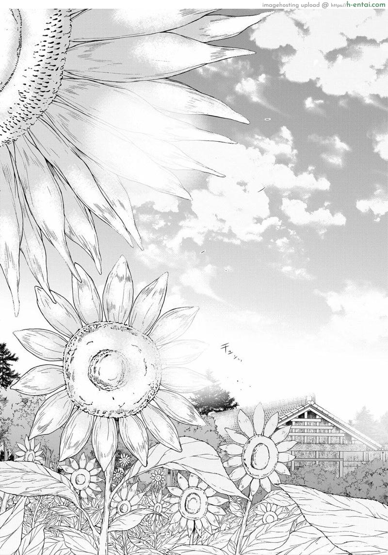 หมู่บ้านมิซุซาว่า 2.2 - แผ่น 17