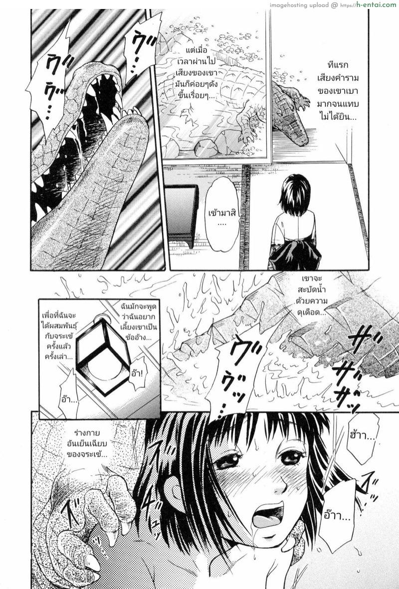 โคตรเข้ พันธุ์(ขย่ม)ดุ - แผ่น 12