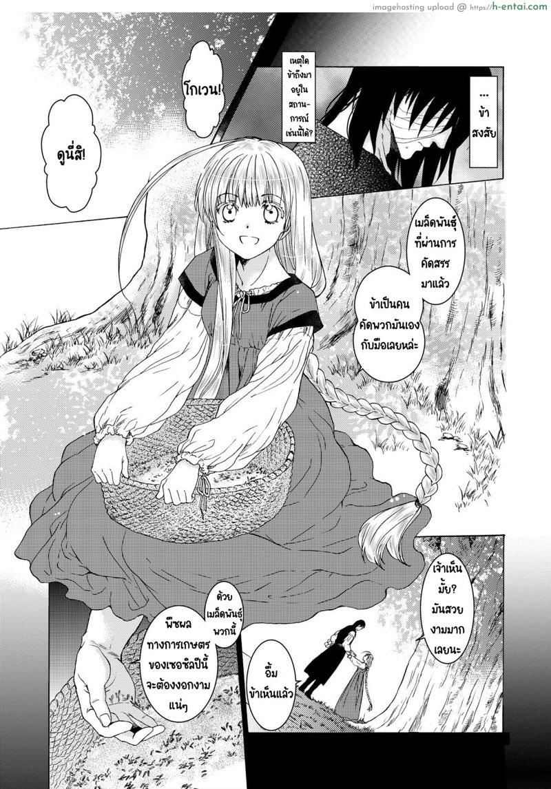 วันเทศกาลเซนต์โฟรเซ่ ริสซี่ 2 - แผ่น 4