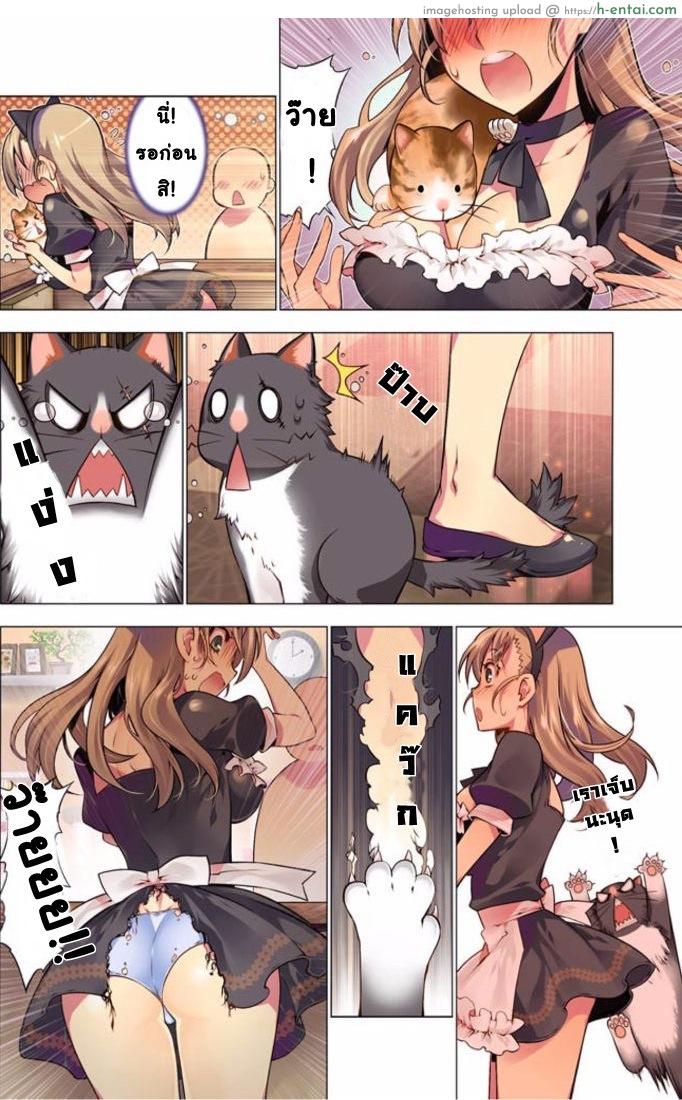 เหตุการณ์สุดสยิว 4 - แมวตัวแสบ - แผ่น 4