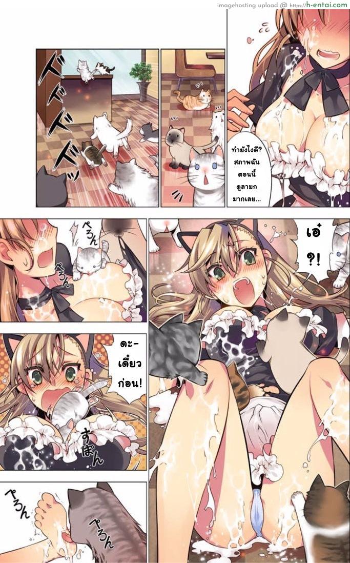 เหตุการณ์สุดสยิว 4 - แมวตัวแสบ - แผ่น 7