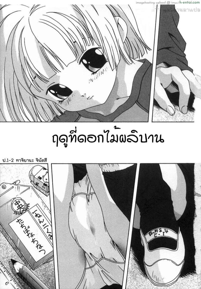 ฤดูที่ดอกไม้ผลิบาน - แผ่น 2