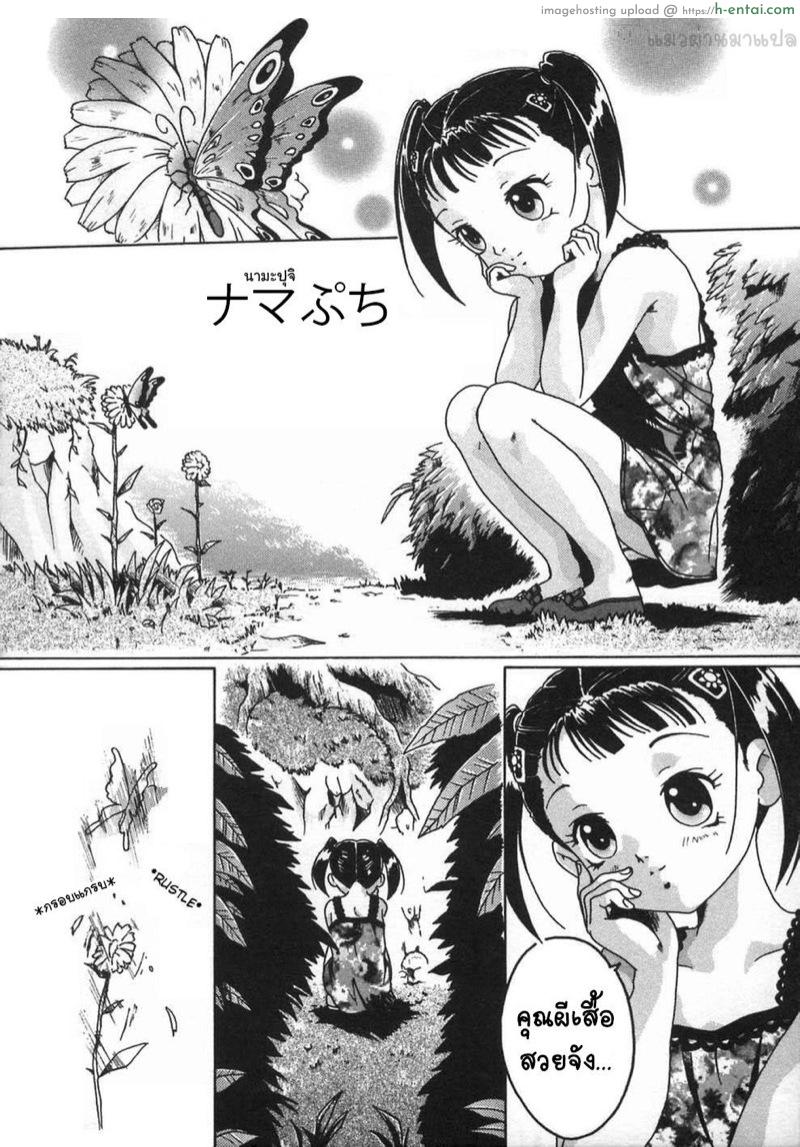 เดี๋ยวพี่พาไปดูเต่า - แผ่น 2