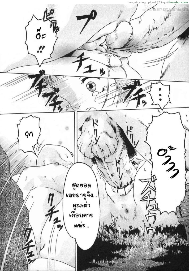 เดี๋ยวพี่พาไปดูเต่า - แผ่น 12