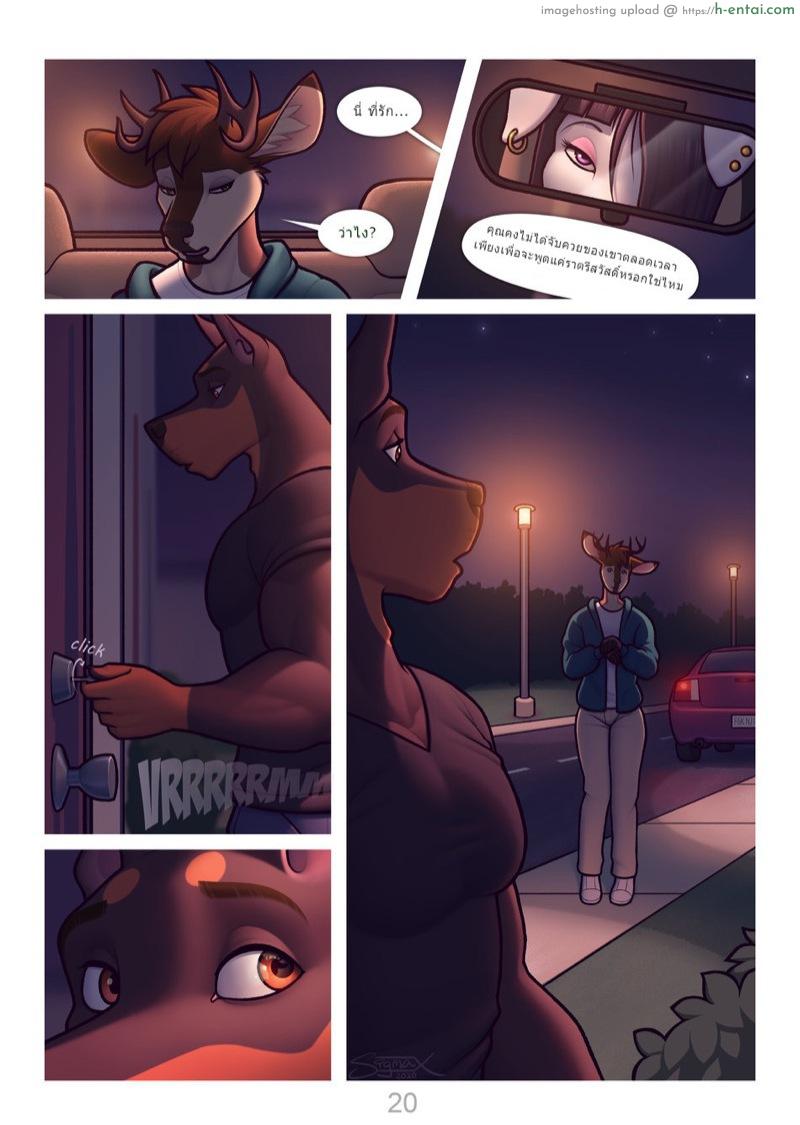 หมานักล่า กวางเหลียวหลัง - แผ่น 20
