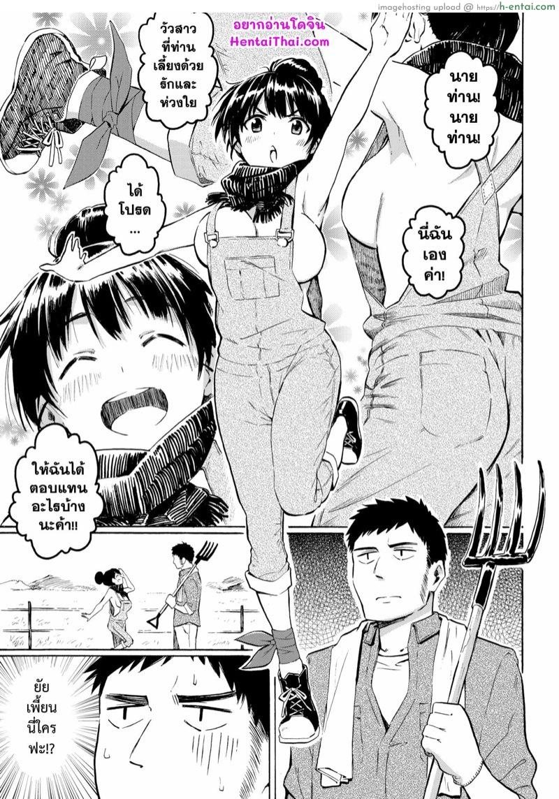 แม่วัวตัวดี - แผ่น 1