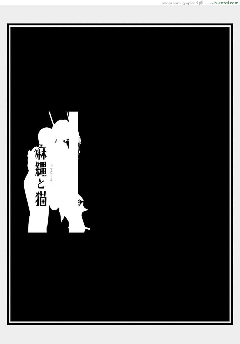 แมวสื่อรัก 5 - แผ่น 1