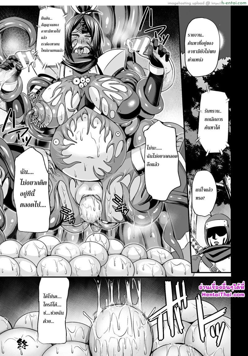 แมลงสายขยายพันธุ์ - แผ่น 20