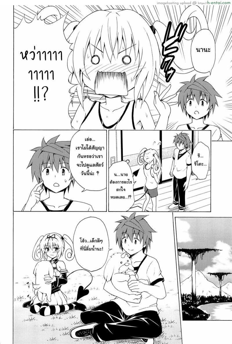 ฮาเร็มริโตะ 8 - แผ่น 13