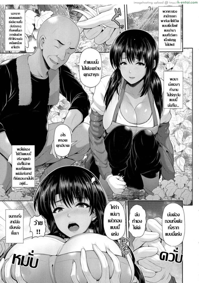 โดจิน คุณนายสาวปลูกผักปลอดสารพิษลูกมะระกระหน่ำหัวใจ [Toba Yuga] Shukaku -Wakazuma Tsumi- แปลไทย 3